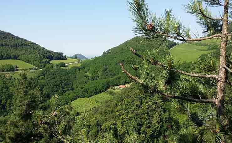 Escursione sul Monte Orsara 